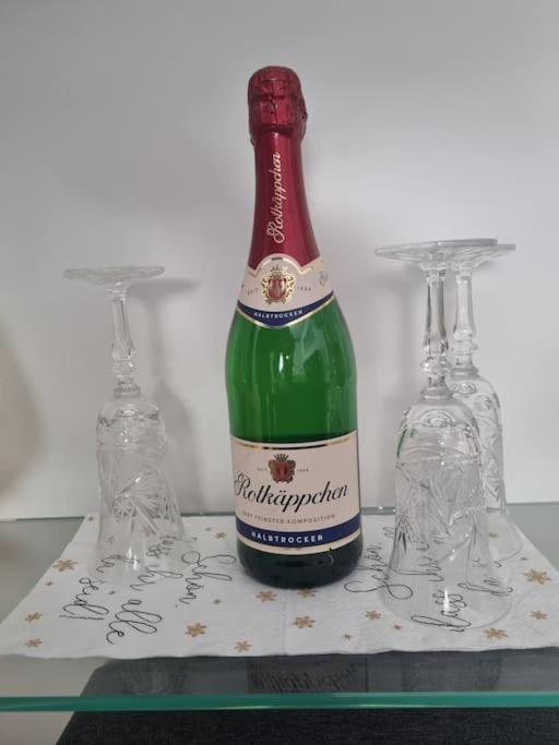 Ferienwohnung *Zur Weinbergstrasse* Lauta Exteriör bild
