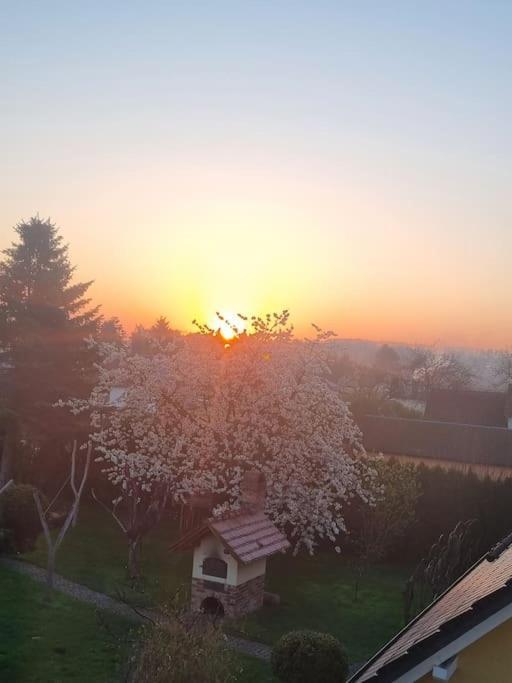 Ferienwohnung *Zur Weinbergstrasse* Lauta Exteriör bild