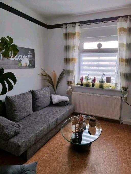 Ferienwohnung *Zur Weinbergstrasse* Lauta Exteriör bild