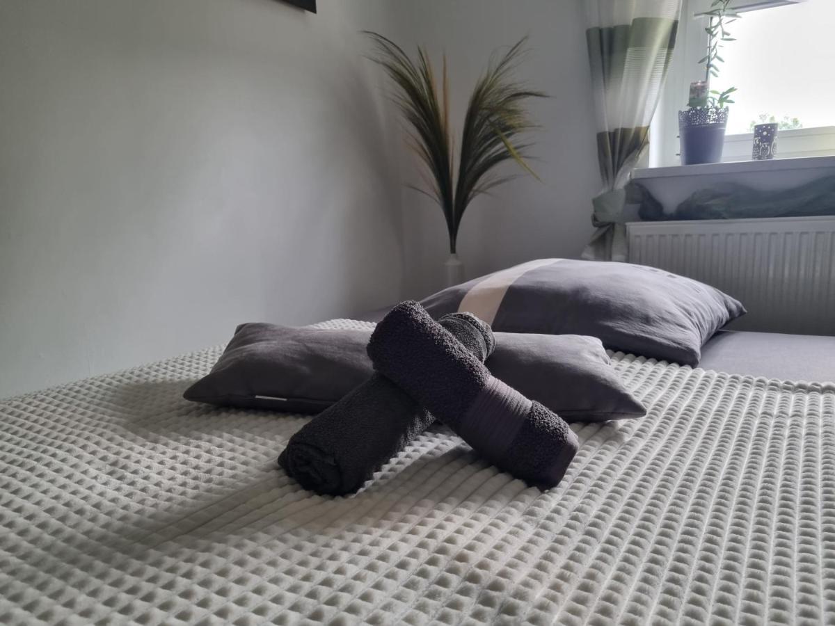 Ferienwohnung *Zur Weinbergstrasse* Lauta Exteriör bild
