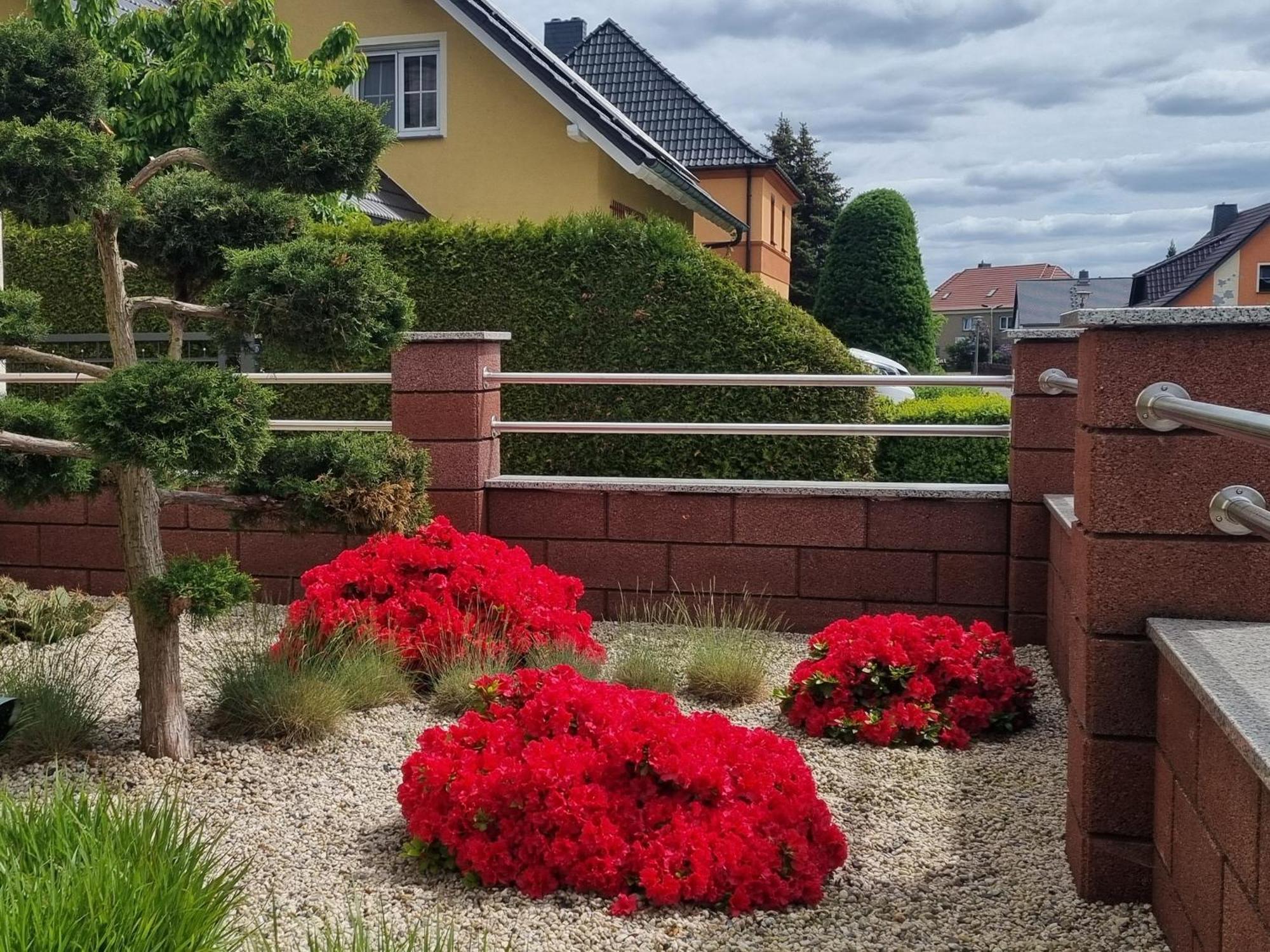 Ferienwohnung *Zur Weinbergstrasse* Lauta Exteriör bild